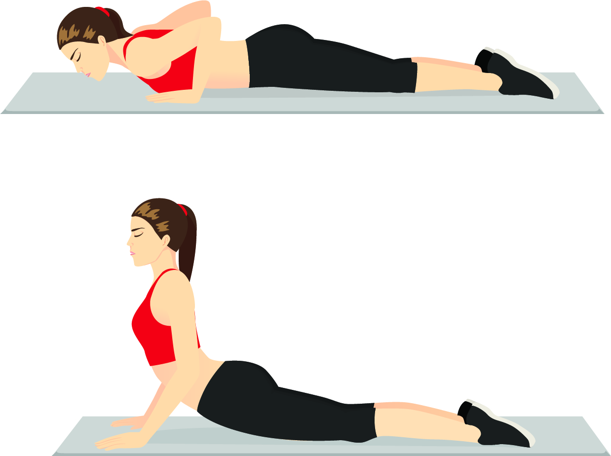 Illustration of a prone press up exercise