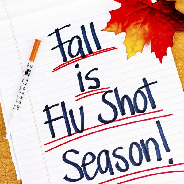 Seasonal Influenza: Beat the Bug!