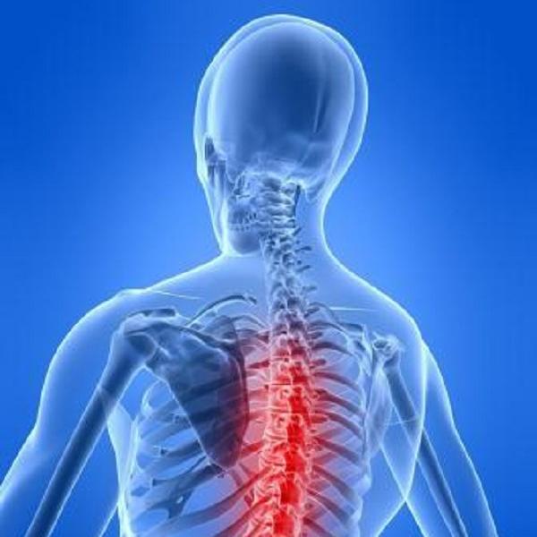 Treatment for Back Pain Should Include Physical Therapy